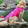 Woa Dog Swimming Coat