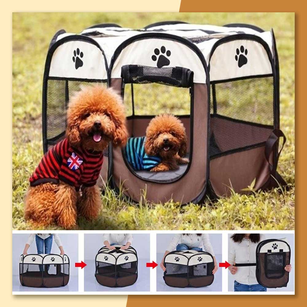 Portable 2024 dog tent